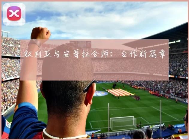 叙利亚与安哥拉会师:合作新篇章
