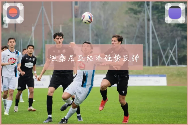 坦桑尼亚经济强势反弹