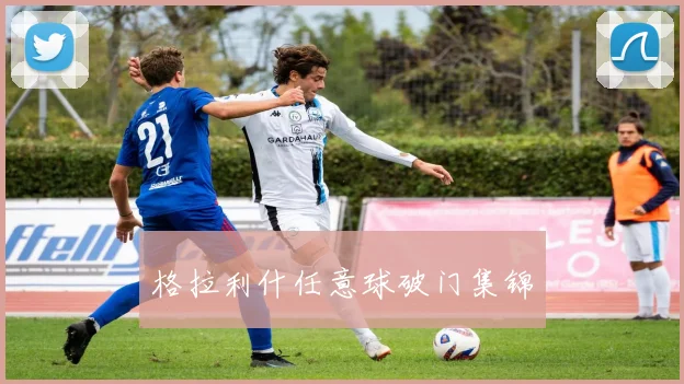 格拉利什任意球破门集锦