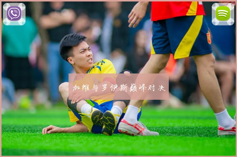 加维与罗伊斯巅峰对决