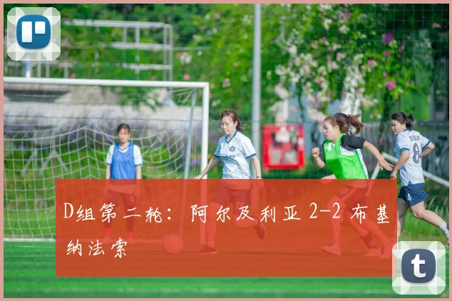 D组第二轮：阿尔及利亚 2-2 布基纳法索