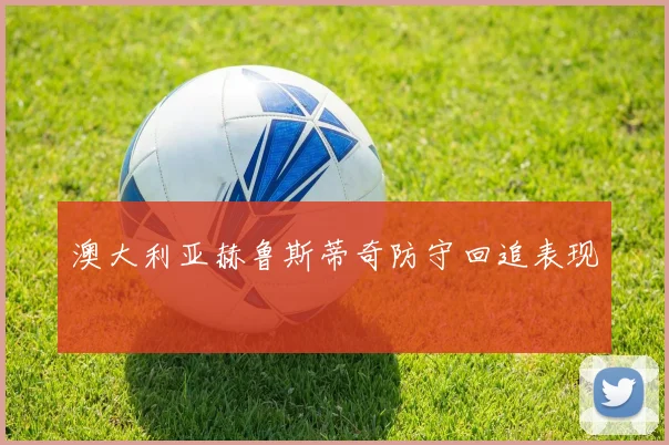 澳大利亚赫鲁斯蒂奇防守回追表现