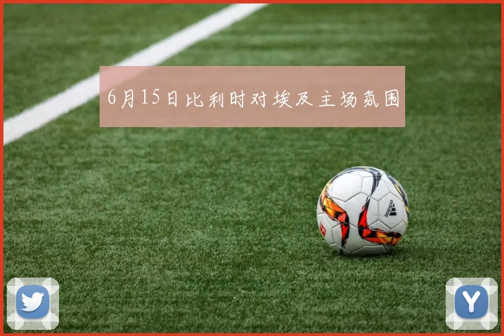 6月15日比利时对埃及主场氛围