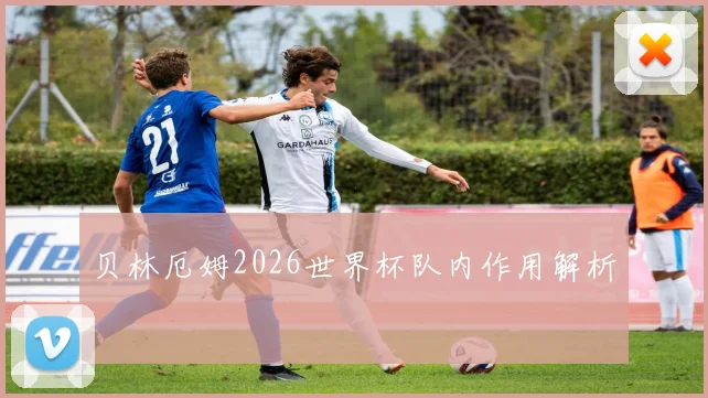 贝林厄姆2026世界杯队内作用解析