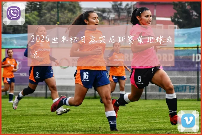 2026世界杯日本突尼斯赛前进球看点