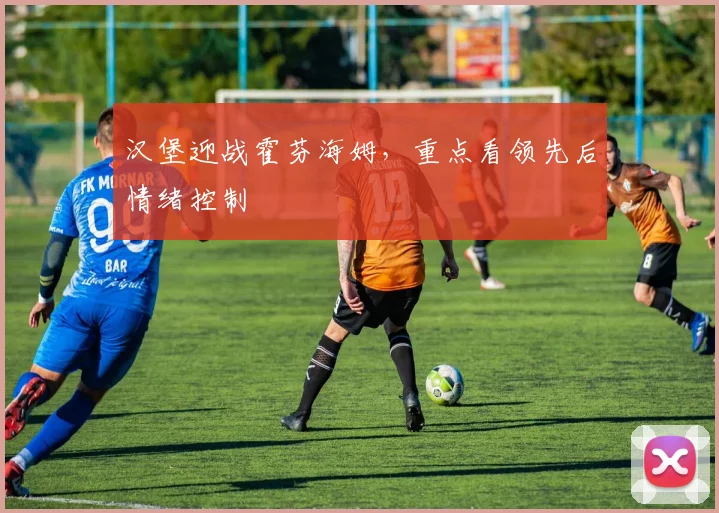 汉堡迎战霍芬海姆,重点看领先后情绪控制