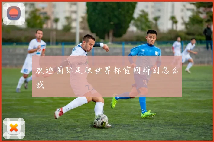 欢迎国际足联世界杯官网辨别怎么找