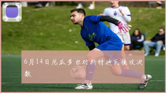 6月14日厄瓜多尔对科特迪瓦快攻次数