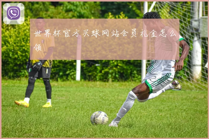 世界杯官方买球网站会员礼金怎么领